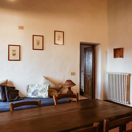 Bio-Agriturismo La Ginestra 산카시아노인발디파사 외부 사진