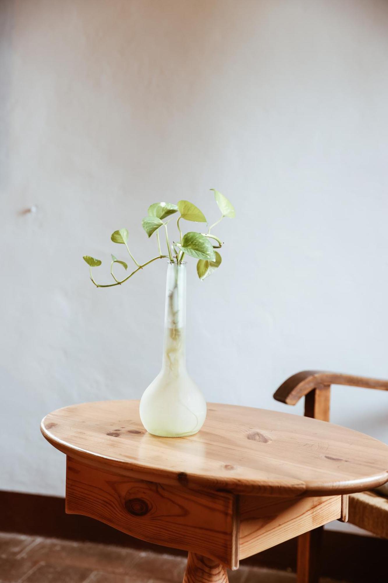 Bio-Agriturismo La Ginestra 산카시아노인발디파사 외부 사진